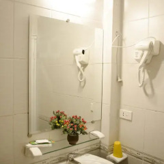 Blue Moon Hotel 2* Стандартный номер с различными типами кроватей фото 4