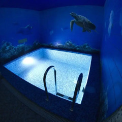 Hotel LogHouse бассейн