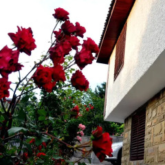 Отель Villa Estate балкон