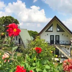 Отель Sherwood Cottage фото 12