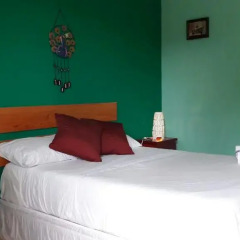 Отель Mansion Giahn Bed & Breakfast Мексика, Канкун - отзывы, цены и фото номеров - забронировать отель Mansion Giahn Bed & Breakfast онлайн комната для гостей фото 3