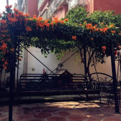 Отель Gulangyu Luyisi Villa Hotel Китай, Сямынь - отзывы, цены и фото номеров - забронировать отель Gulangyu Luyisi Villa Hotel онлайн фото 5