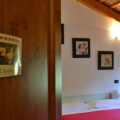 Отель Country House Bucaneve Стандартный номер фото 6
