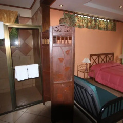 Отель Arenal Tropical Garden 3* Полулюкс фото 3