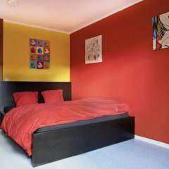 Budget Hostel Zurich Стандартный номер с различными типами кроватей фото 9