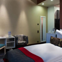 Рэдиссон Отель Соня Петербург (Radisson Sonya) 4* Стандартный номер с различными типами кроватей фото 4