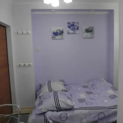 Гостиница Historical Centre Apartment Украина, Харьков - отзывы, цены и фото номеров - забронировать гостиницу Historical Centre Apartment онлайн комната для гостей фото 5