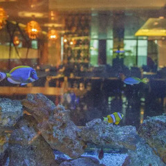 Gold Majesty Hotel Турция, Бурса - отзывы, цены и фото номеров - забронировать отель Gold Majesty Hotel онлайн бассейн