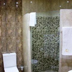 Отель Avan Plaza 3* Стандартный номер фото 7