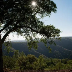 Отель Quinta Monte da Rocha