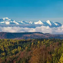 Отель Krupówkowy Styl Польша, Закопане - отзывы, цены и фото номеров - забронировать отель Krupówkowy Styl онлайн фото 2