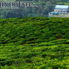 Hotel Silver Falls 2* Стандартный номер с различными типами кроватей фото 3