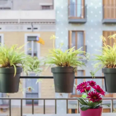 Апартаменты Barcelona Boutique Apartments Барселона