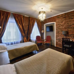 Гостиница 1913 год 3* Номер Делюкс с разными типами кроватей фото 2