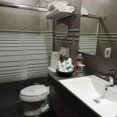 Layfer Express & hotel Inn Córdoba, Veracruz 3* Стандартный номер с различными типами кроватей фото 3