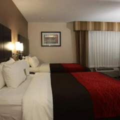 Отель Comfort Inn Los Angeles Лос-Анджелес комната для гостей фото 5