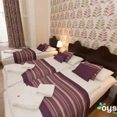 Dolphin Hotel 3* Стандартный номер фото 50