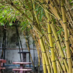 Отель The Loft Resort Bangkok спортивное сооружение