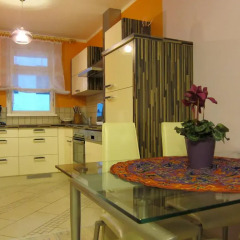 Отель Vienna Citycenter+Terrace+Parking Австрия, Вена - отзывы, цены и фото номеров - забронировать отель Vienna Citycenter+Terrace+Parking онлайн в номере