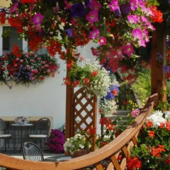 Отель La Roche Hotel Appartments Италия, Аоста - отзывы, цены и фото номеров - забронировать отель La Roche Hotel Appartments онлайн балкон
