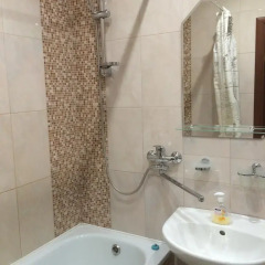 Гостиница Apartamenti na Vladimirskoy 7A в Пскове отзывы, цены и фото номеров - забронировать гостиницу Apartamenti na Vladimirskoy 7A онлайн Псков ванная фото 2