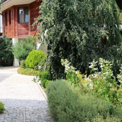 Отель Dyulgerite Complex 3* Стандартный номер с различными типами кроватей фото 7