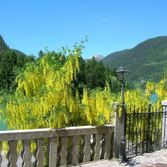 Отель Appartamenti Regina Dolomitissime