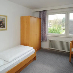 Hotel Waldesruh 2* Стандартный номер с различными типами кроватей фото 3