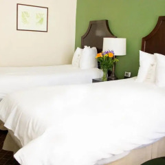 Chancellor Hotel on Union Square 3* Стандартный номер с различными типами кроватей фото 3
