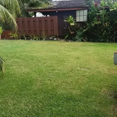 Отель Guest Beach Bungalow Tahiti фото 7