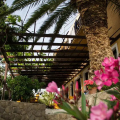 Vagia Hotel Стандартный номер с различными типами кроватей фото 21