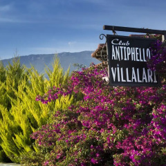 Club Antiphellos Турция, Патара - отзывы, цены и фото номеров - забронировать отель Club Antiphellos онлайн фото 7