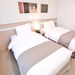 Tmark Hotel Myeongdong 3* Номер Делюкс с 2 отдельными кроватями фото 5