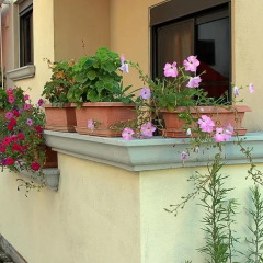 Апартаменты Arbana Apartments Голем интерьер отеля
