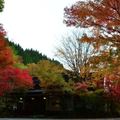 Отель Kurokawa Onsen Oku no Yu Минамиогуни фото 6
