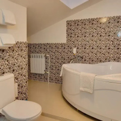 Гостиница Парадная 3* Номер Делюкс с различными типами кроватей фото 6