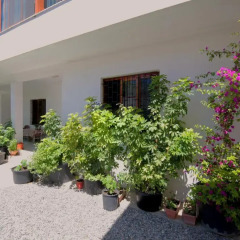 Отель My Home Guest House 3* Стандартный номер с различными типами кроватей