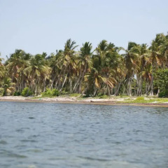 Отель Bavaro Green Доминикана, Пунта Кана - отзывы, цены и фото номеров - забронировать отель Bavaro Green онлайн приотельная территория