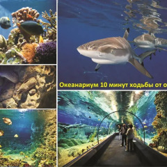 Отель Gulya Сочи приотельная территория
