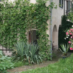 Отель Poncet´sches Herrenhaus Германия, Дрезден - отзывы, цены и фото номеров - забронировать отель Poncet´sches Herrenhaus онлайн фото 4