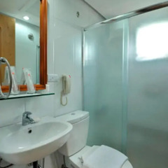 Wellcome Hotel 3* Номер Делюкс с различными типами кроватей фото 3