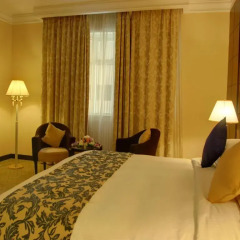Sharjah Palace Hotel 4* Стандартный номер с различными типами кроватей