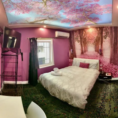 Amelia Hotel 2* Номер Делюкс с различными типами кроватей фото 8