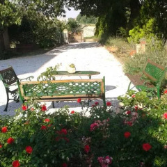 Отель B&B Le Rose Монтефано фото 6