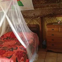 Отель Aito Motel Colette комната для гостей фото 3