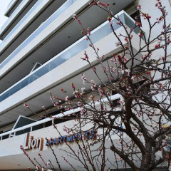 Отель Lion Hotel Apartments Греция, Афины - отзывы, цены и фото номеров - забронировать отель Lion Hotel Apartments онлайн балкон