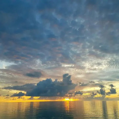 Отель Pension Rangiroa Plage пляж фото 2