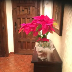 Отель Casa Rural Rivero комната для гостей фото 4