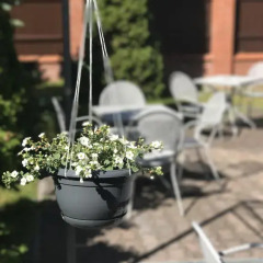 Гостиница Diana Guest House фото 3
