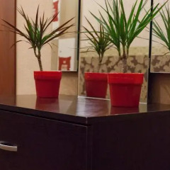 Hostel Home развлечения